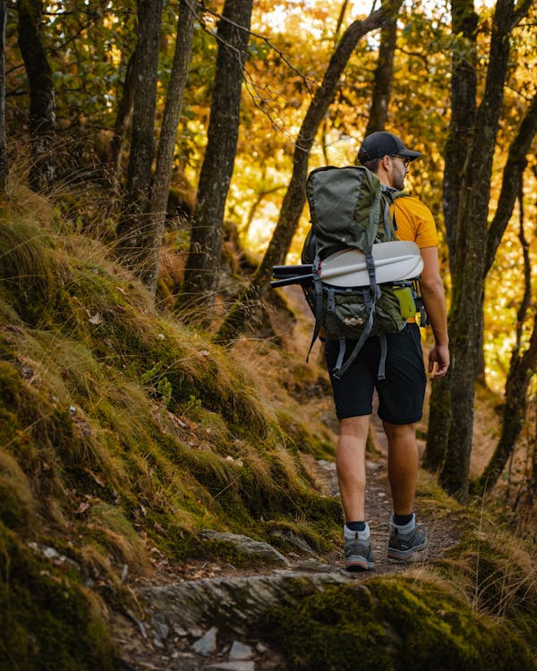 A hiker carrying a backpack through a forest trail