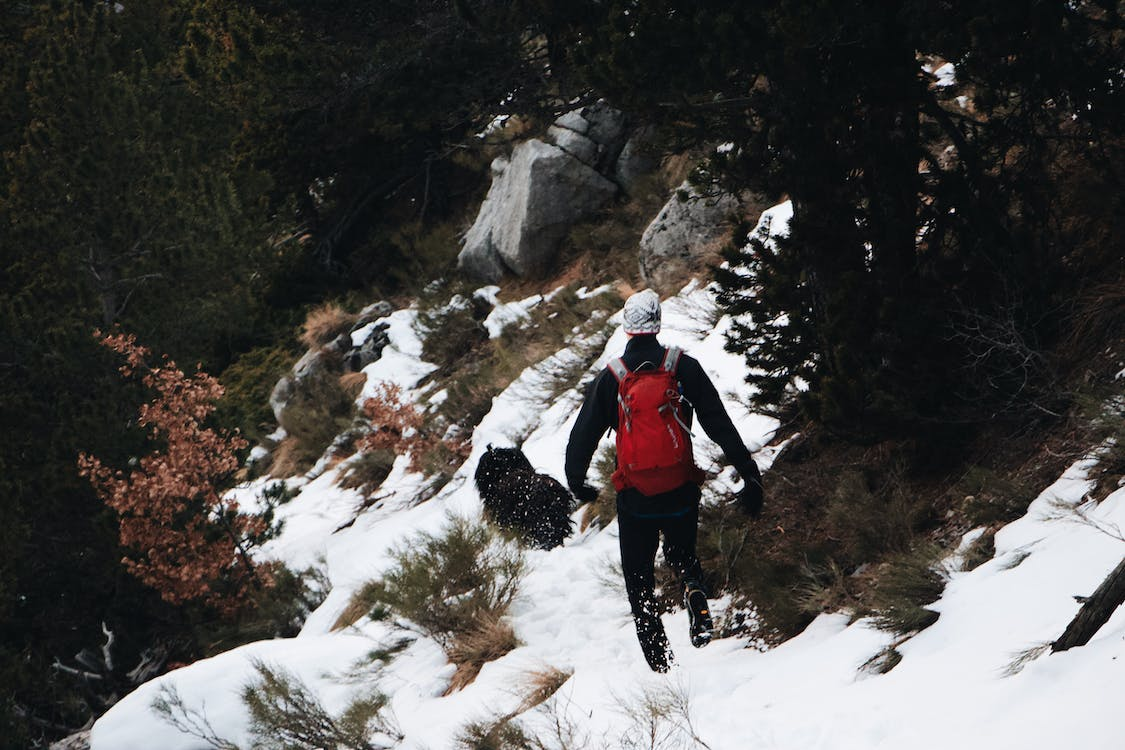 A man walking on a snowy field beside trees, embracing the solitude of nature.