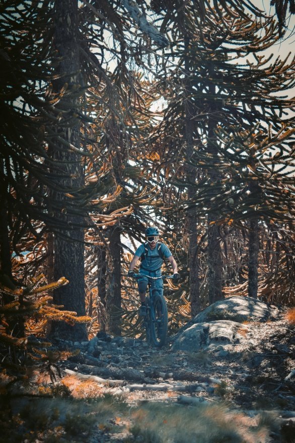 The Ultimate Checklist for Bicycle Touring and Bike-packing – Light ...