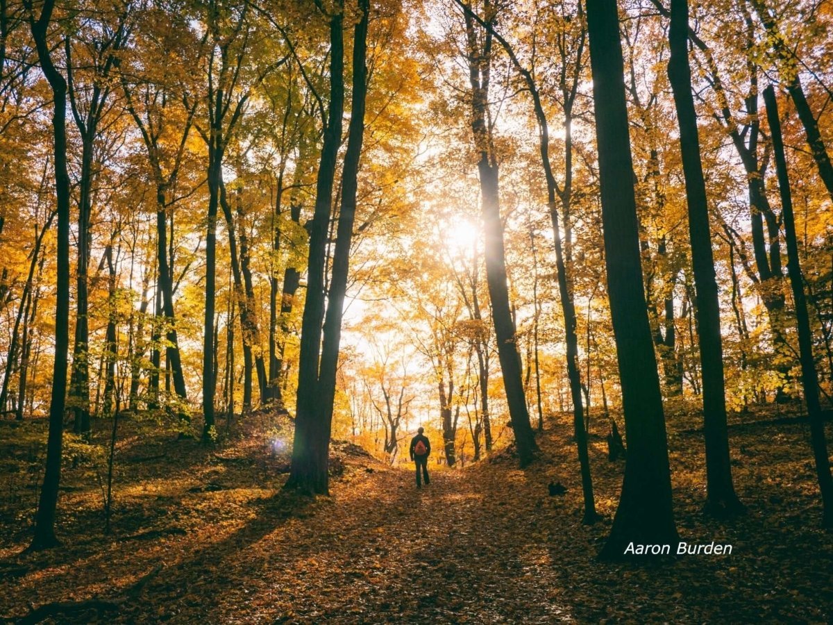 Trails to Adventure - Light Hiking Gear