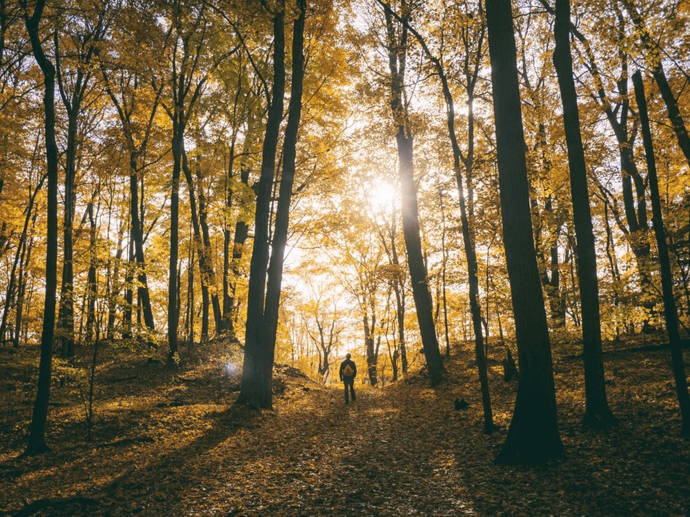 4 Reasons Why Fall Is the Season For Hiking - Light Hiking Gear