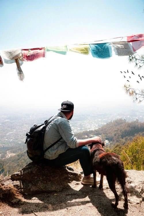 4 Things to Keep In Mind When Hiking With Your Dog - Light Hiking Gear