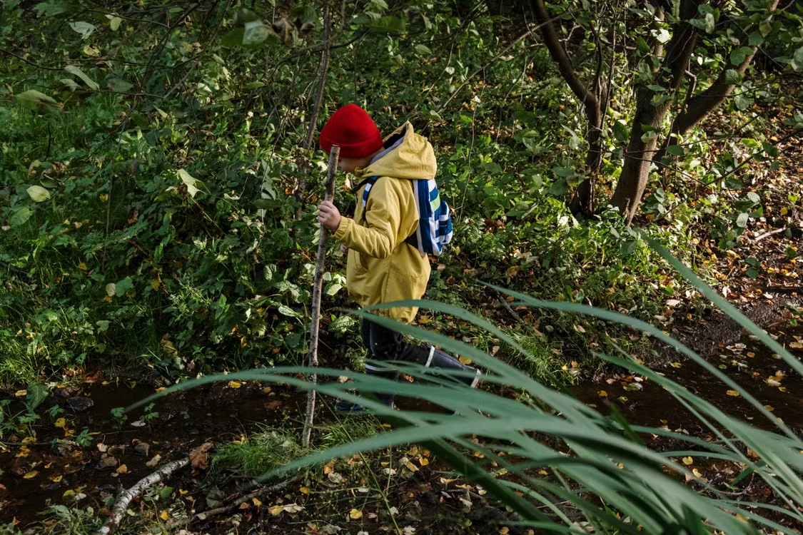 A child hiking in the woods
