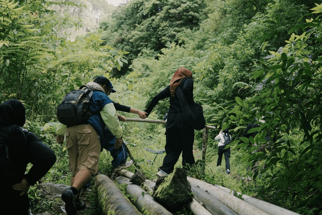 Jungle and Rainforest Trekking: Pack Features That Handle Humidity and Dense Trail Growth - Light Hiking Gear