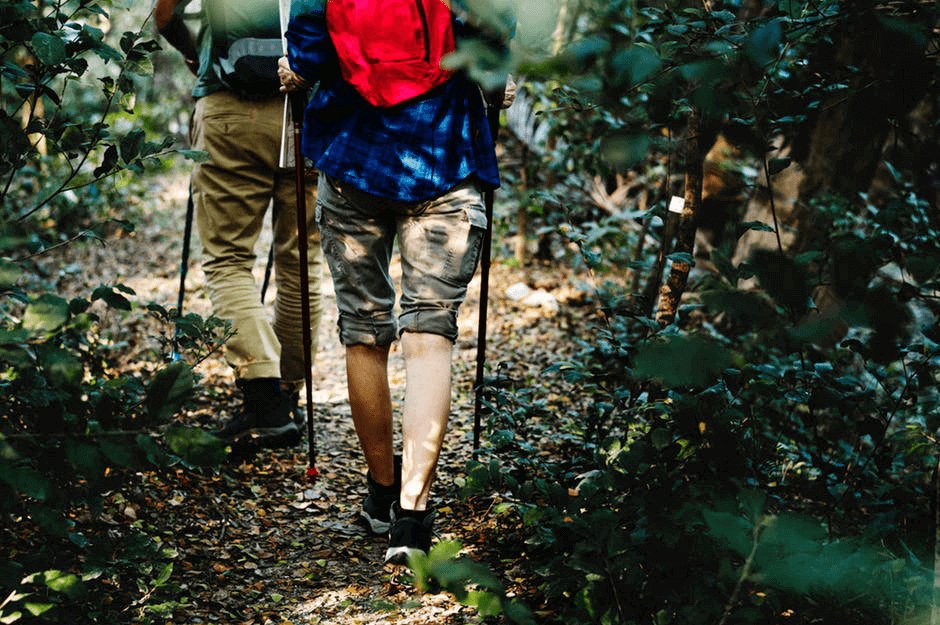 Lost in the Wilderness? These Survival Tips Will Help - Light Hiking Gear