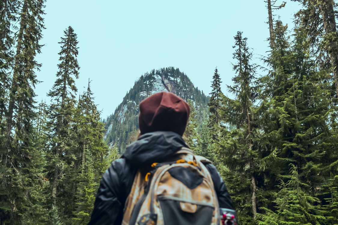 Hiker carrying a multi-day hiking pack for adventure through a forest trail surrounded by Pacific Northwest scenery.