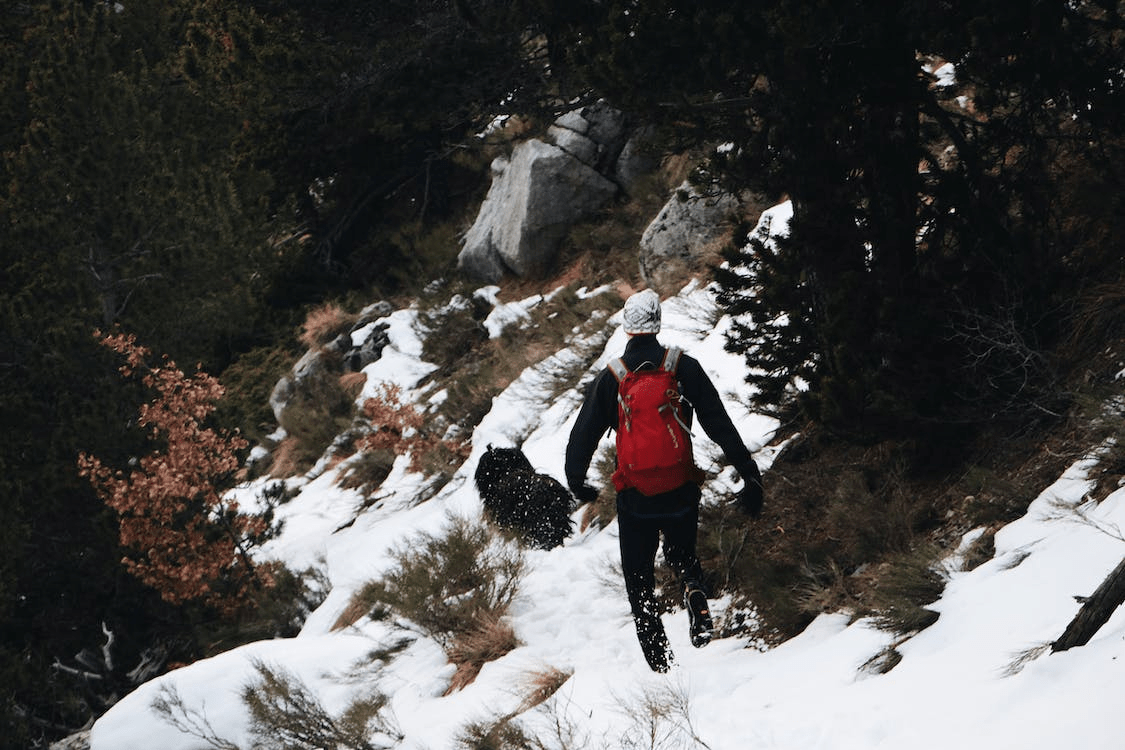 The Ultimate Guide to Solo Backpacking: Thriving Alone in the Wild - Light Hiking Gear