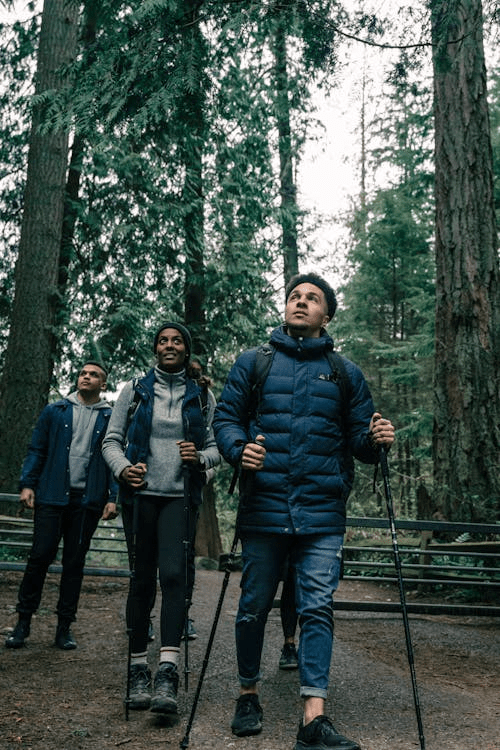 Tight Trails and Dense Forests: Why Compact Packs Perform Better - Light Hiking Gear