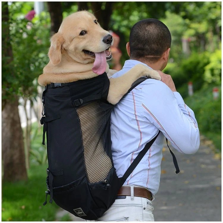 Dog Carrier Backpack - Light Hiking GearLight Hiking Gear